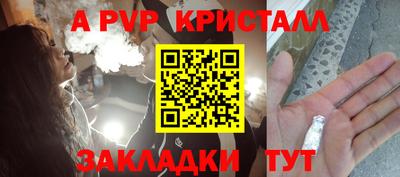 спиды Моздок
